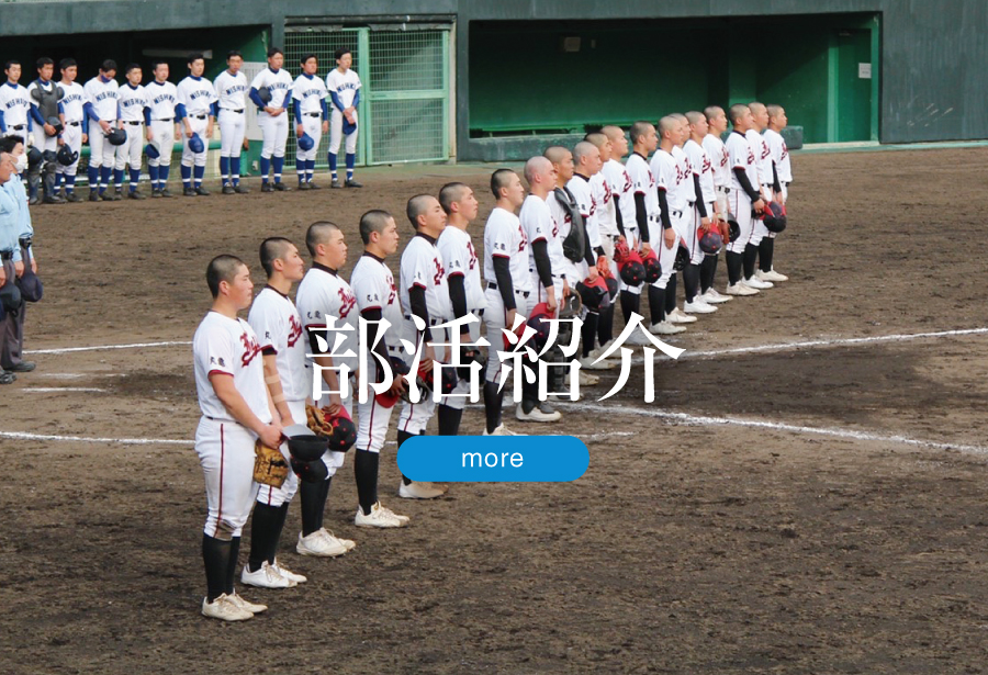 部活紹介